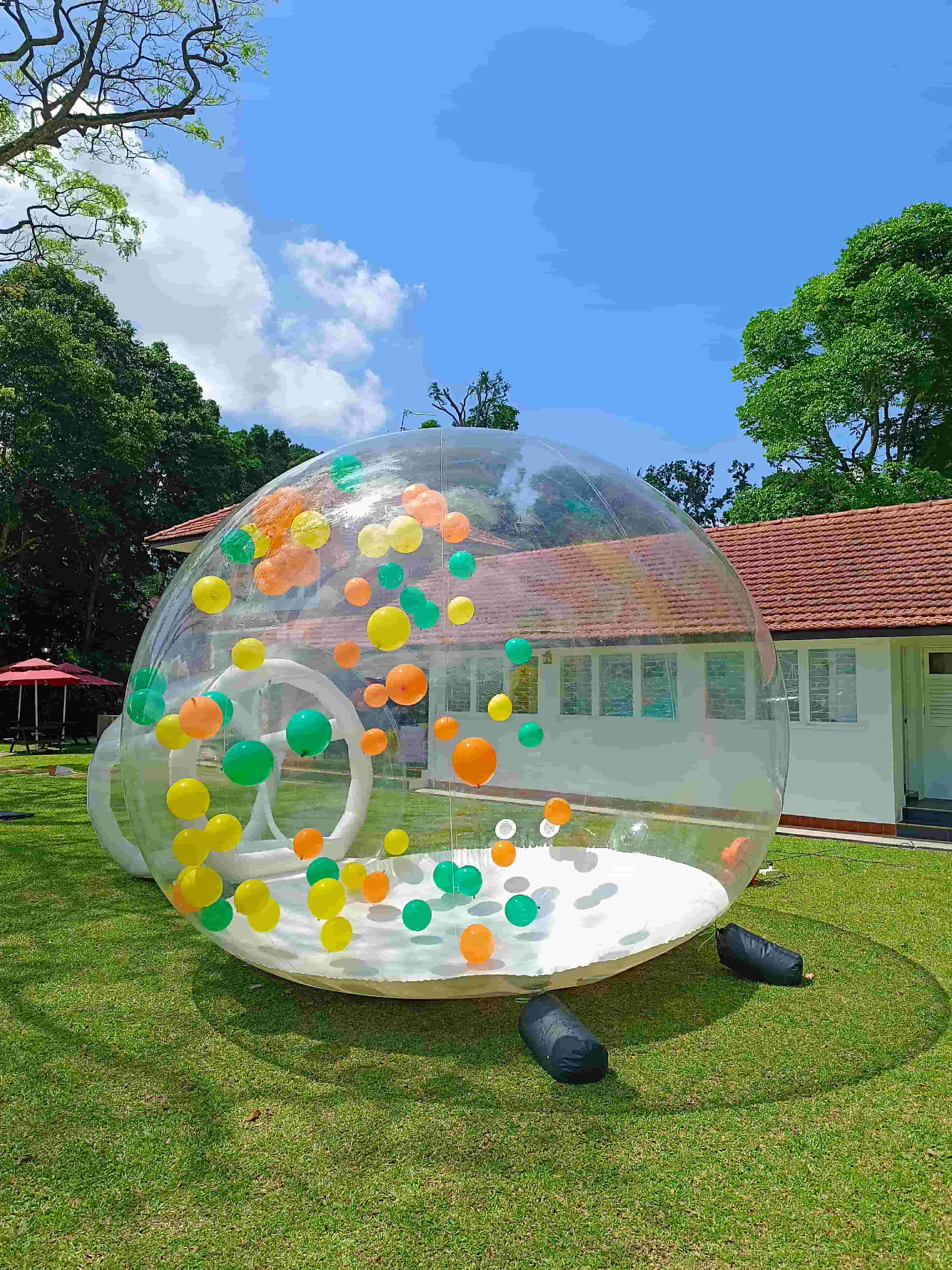 Bubble Dome